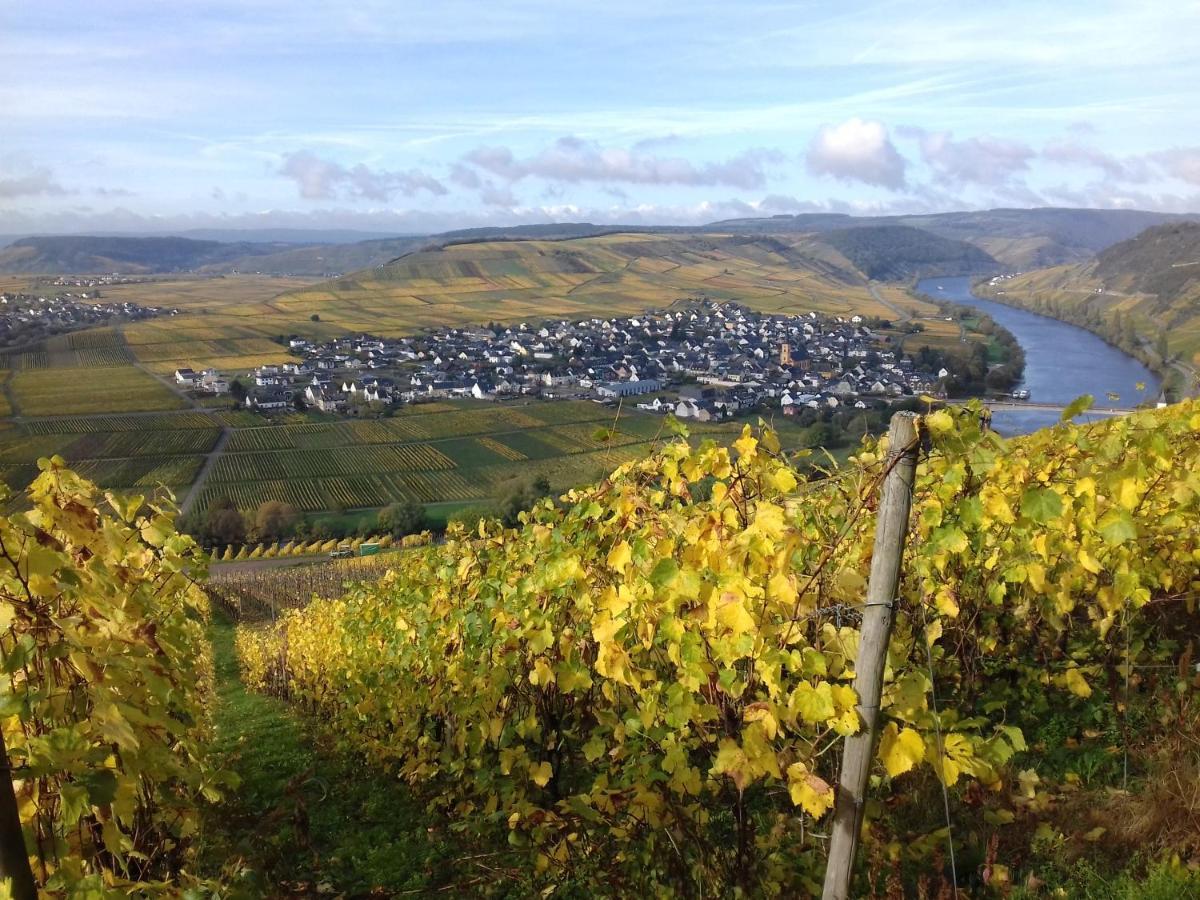 Ferienwohnung Bergblick Trittenheim Kültér fotó