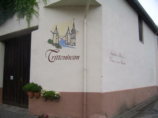 Ferienwohnung Bergblick Trittenheim Kültér fotó