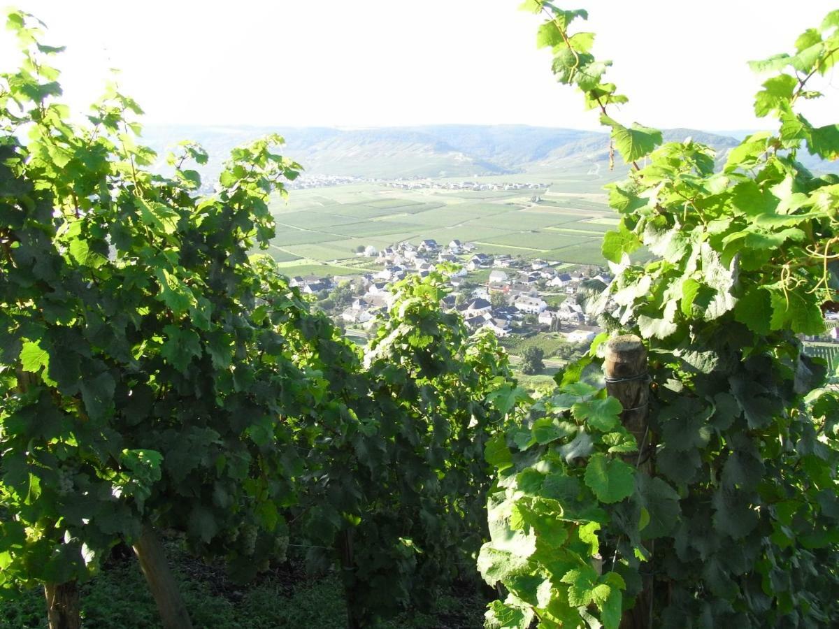 Ferienwohnung Bergblick Trittenheim Kültér fotó