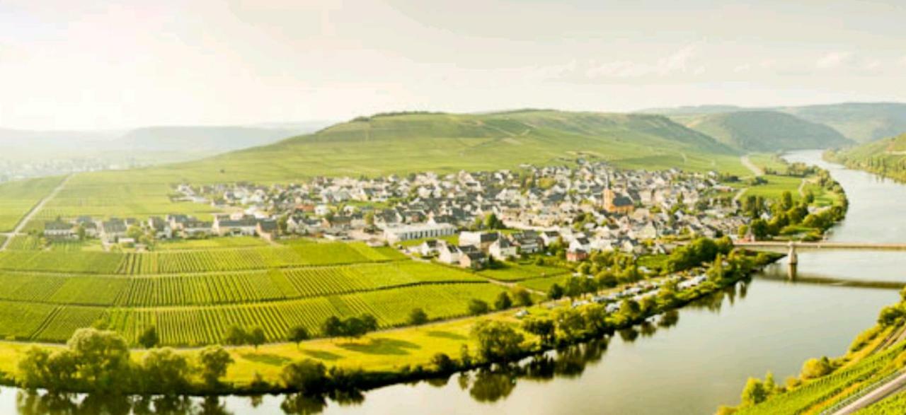 Ferienwohnung Bergblick Trittenheim Kültér fotó